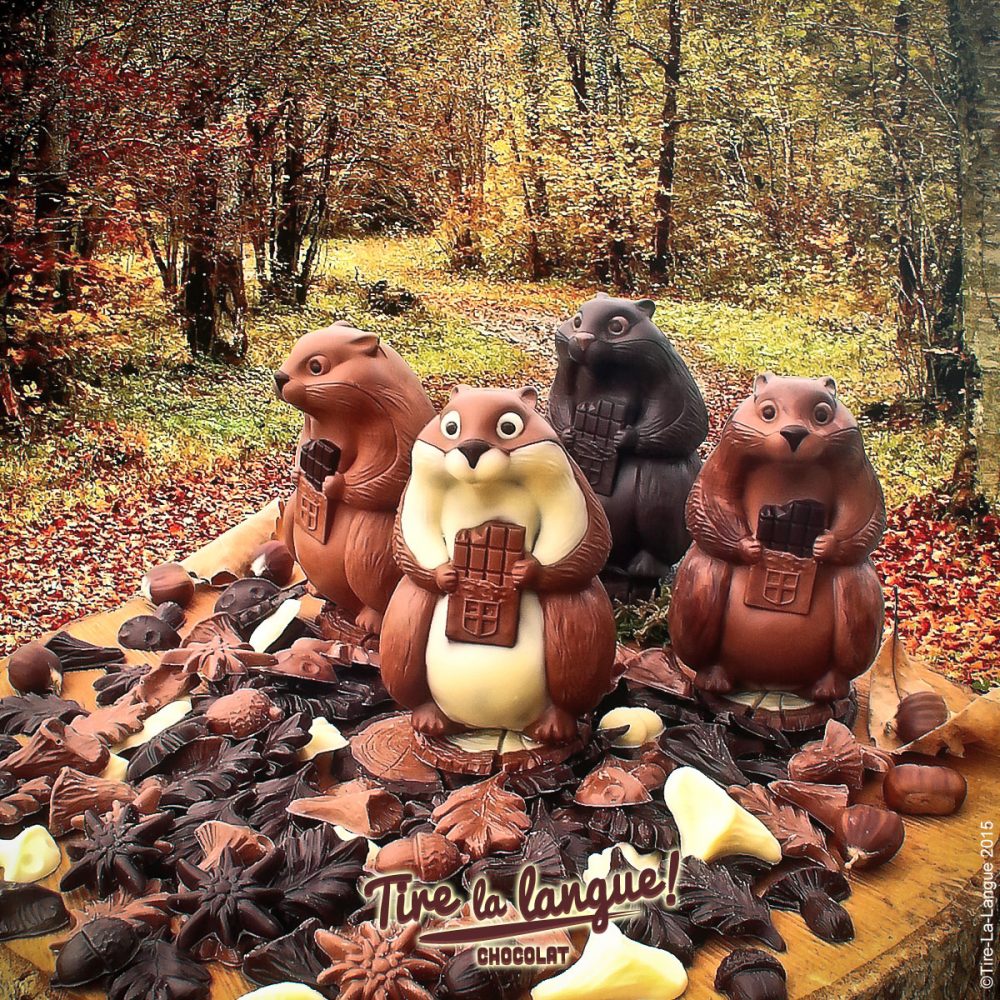 #marmotte #chocolat #tirelalangue